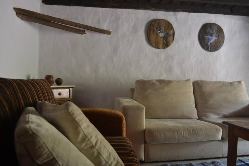 Casa Rural Lomito Del Pino Tejeda Kültér fotó