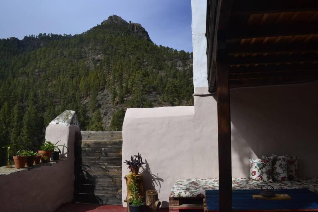 Casa Rural Lomito Del Pino Tejeda Kültér fotó