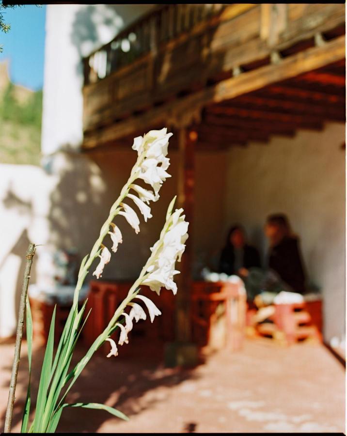 Casa Rural Lomito Del Pino Tejeda Kültér fotó