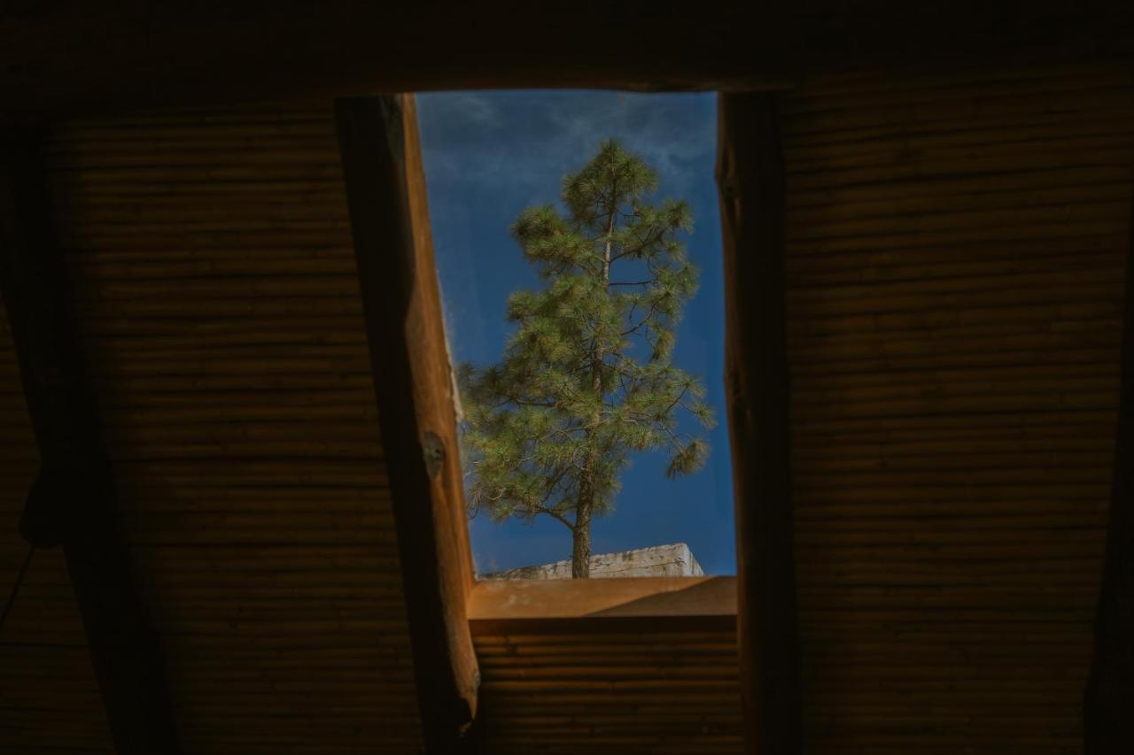 Casa Rural Lomito Del Pino Tejeda Kültér fotó