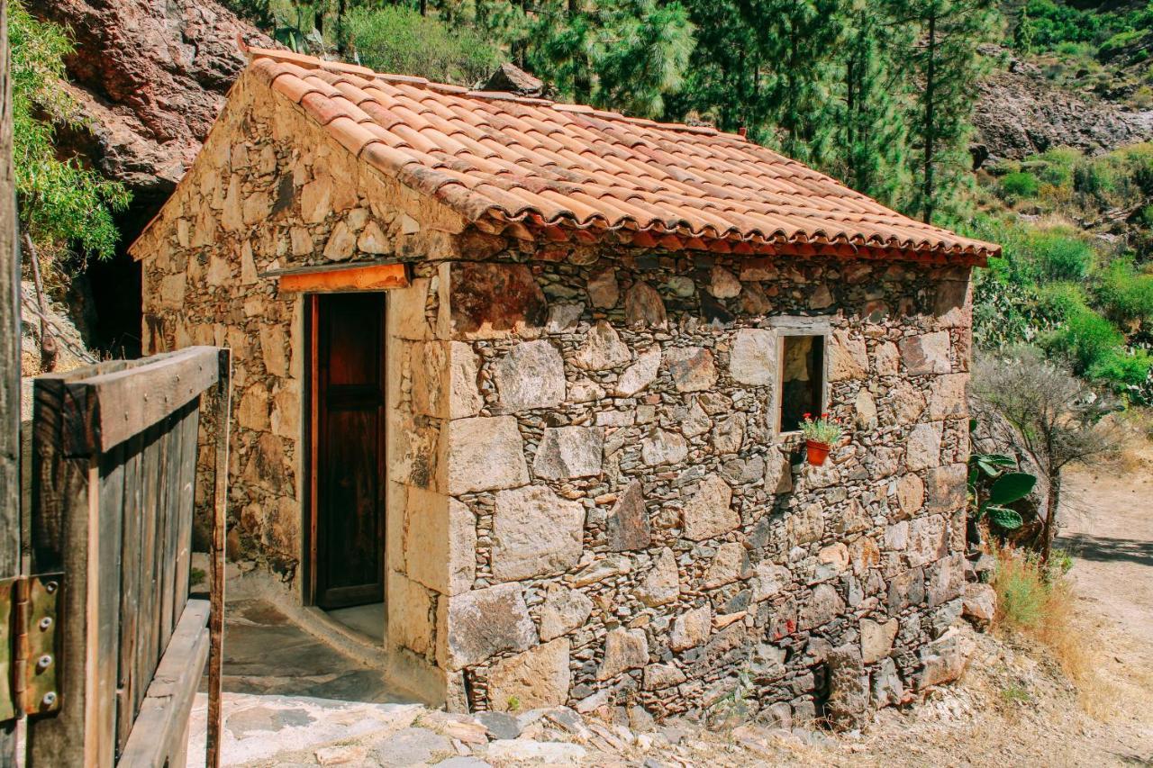 Casa Rural Lomito Del Pino Tejeda Kültér fotó